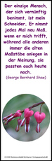 30-Lesezeichen.jpg